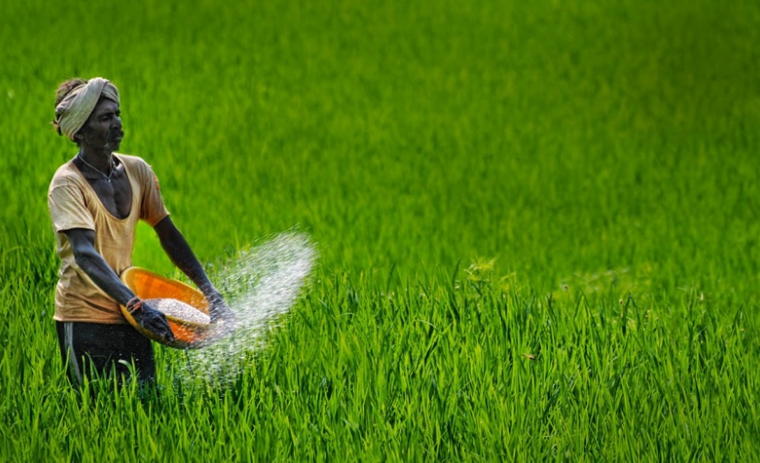 ಪ್ರಧಾನಿ ಕಿಸಾನ್ ಸಮ್ಮಾನ್ ನಿಧಿ ಯೋಜನೆಯಡಿ ಸಣ್ಣ ಹಿಡುವಳಿದಾರರಿಗೆ ವಾರ್ಷಿಕ 6 ಸಾವಿರ ರೂ. ನೆರವು