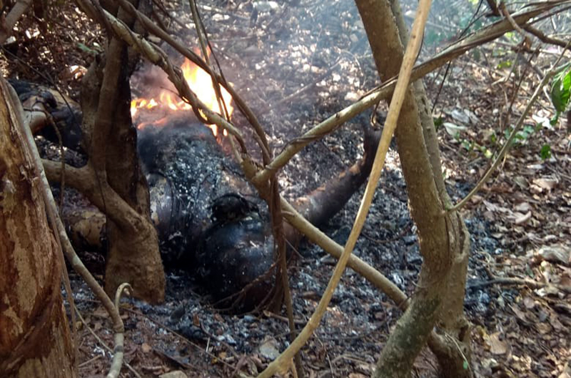 ಉಡುಪಿ: ಸುಟ್ಟುಕರಕಲಾದ ಮೃತದೇಹ ಪತ್ತೆ