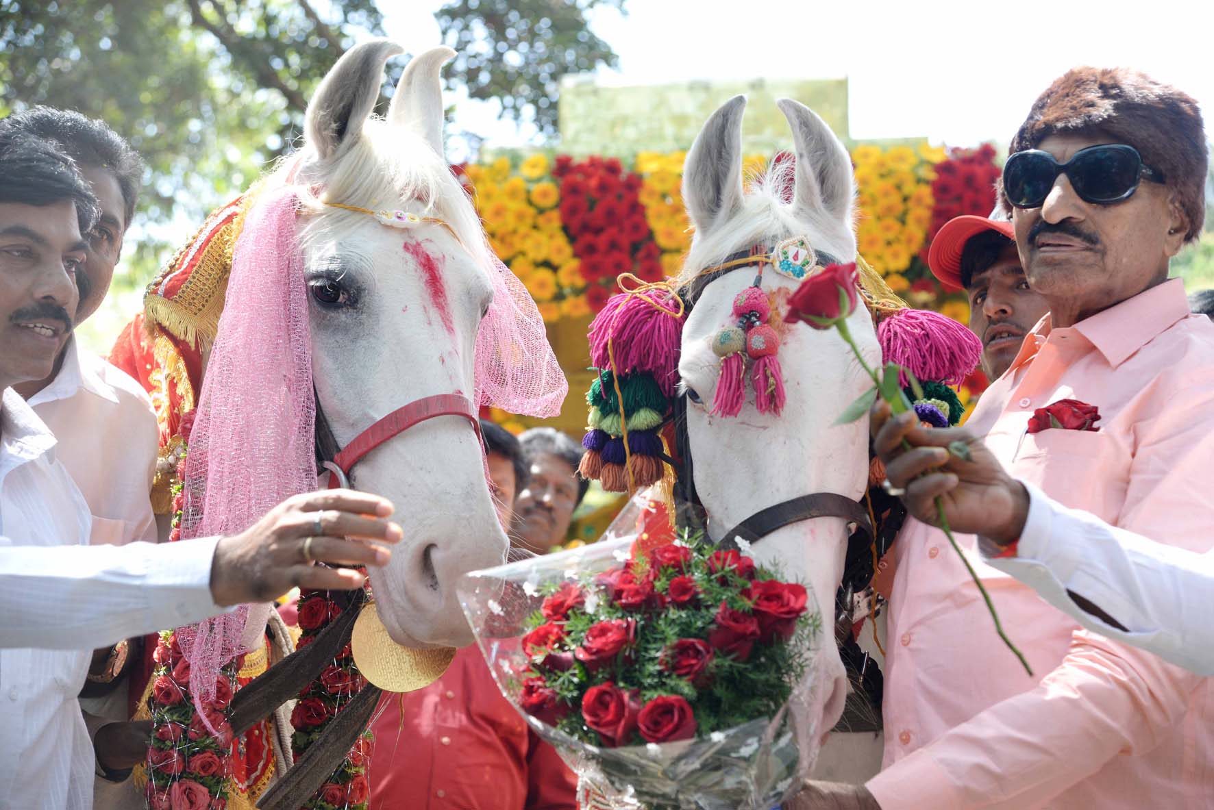 ಪ್ರೇಮಿಗಳ ರಕ್ಷಣೆಗೆ ವಿಶೇಷ ಕಾಯಿದೆ ಅವಶ್ಯ: ವಾಟಾಳ್ ನಾಗರಾಜ್