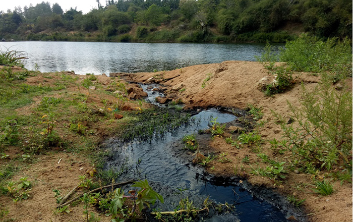 ಕಾವೇರಿ ಒಡಲು ಸೇರುತ್ತಿದೆ ಕಾಫಿ ಪಲ್ಪಿಂಗ್ ತ್ಯಾಜ್ಯ !