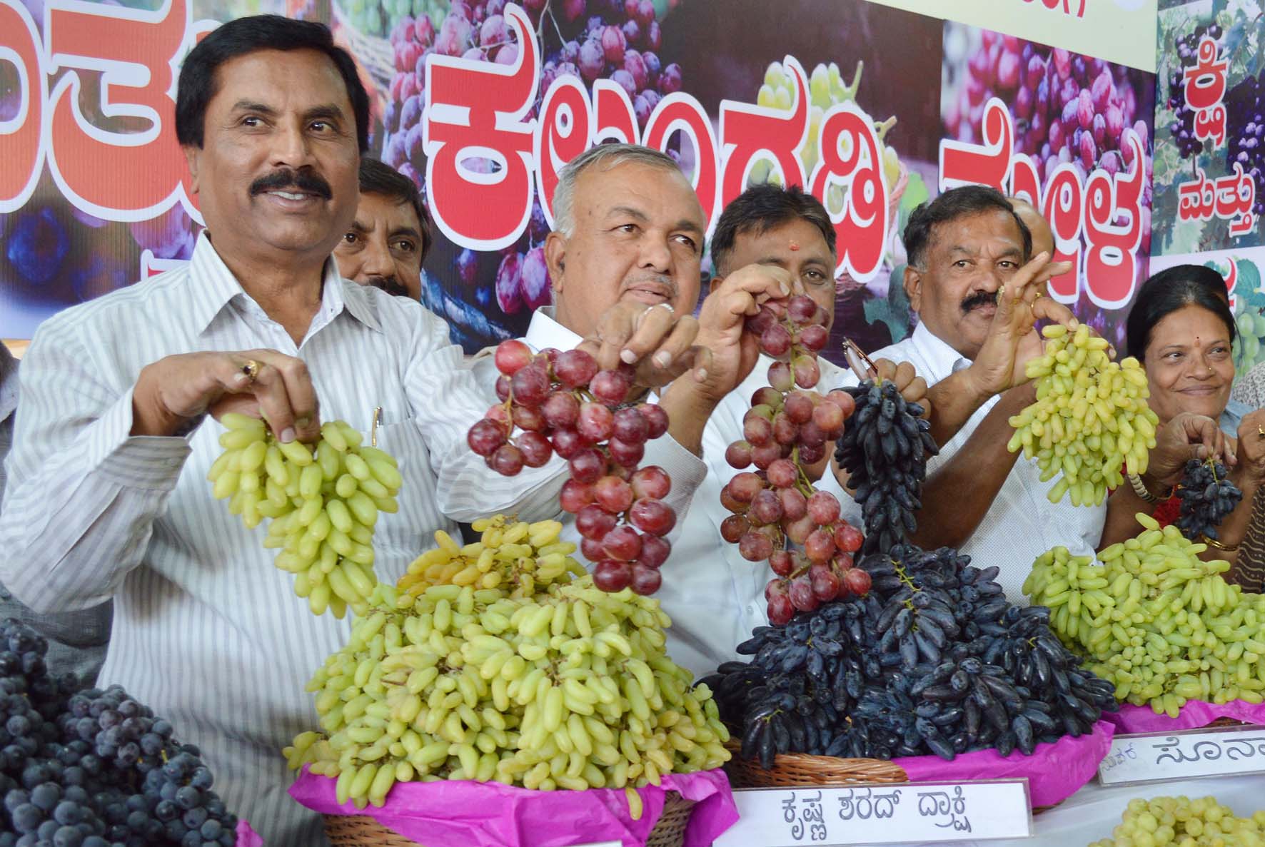 ಬೆಂಗಳೂರು: ದ್ರಾಕ್ಷಿ-ಕಲ್ಲಂಗಡಿ ಮೇಳಕ್ಕೆ ಸಚಿವ ಶಿವಶಂಕರ ರೆಡ್ಡಿ ಚಾಲನೆ