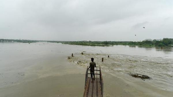 ಯಮುನಾ ನದಿಗೆ ಕೊಳಚೆ ನೀರು: ಕ್ರಿಯಾಯೋಜನೆ ರೂಪಿಸಲು ಎನ್‌ಜಿಟಿ ಆಗ್ರಹ