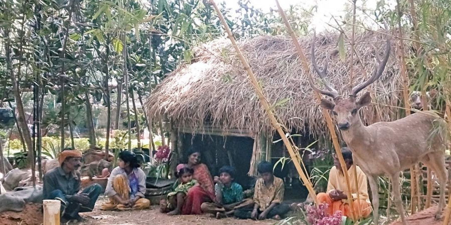 ಅರಣ್ಯದಿಂದ ಹೊರ ಹಾಕಲ್ಪಡಲಿವೆ 10 ಲಕ್ಷ ಬುಡಕಟ್ಟು ಕುಟುಂಬಗಳು