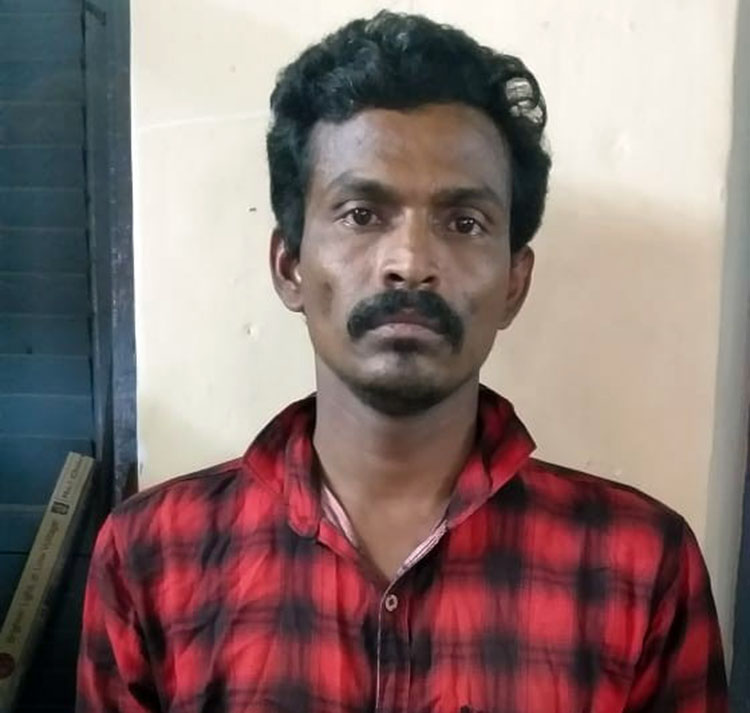 ಮೊಬೈಲ್ ಕಳವು ಪ್ರಕರಣ: ಆರೋಪಿ ಬಂಧನ