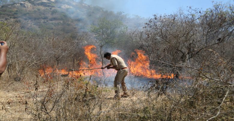 ಚಾಮುಂಡಿಬೆಟ್ಟದ ಪಾದದ ಬಳಿ ಬೆಂಕಿ: ಕಿಡಿಗೇಡಿಗಳ ಕೃತ್ಯ ಶಂಕೆ