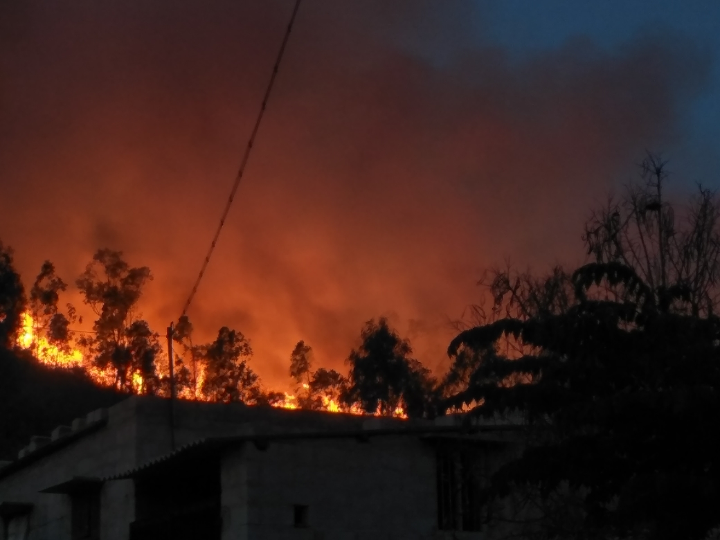 ಮಂಡ್ಯ: ಕಾಡ್ಗಿಚ್ಚಿಗೆ ಅಪಾರ ಪ್ರಮಾಣದ ಅರಣ್ಯ ನಾಶ