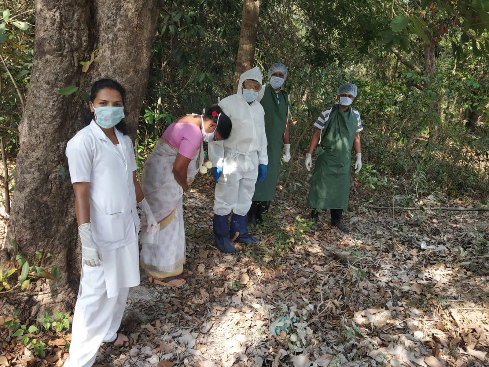 ಮಂಗನ ಕಾಯಿಲೆ: ಇನ್ನೂ 9 ಸತ್ತ ಮಂಗಗಳು ಪತ್ತೆ