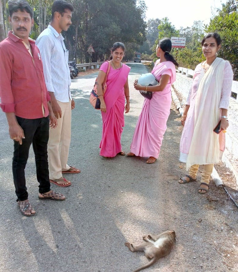 ಮಂಗನಕಾಯಿಲೆ: ವಿದೇಶಿ ಮಹಿಳೆ ಆಸ್ಪತ್ರೆಯಿಂದ ಬಿಡುಗಡೆ