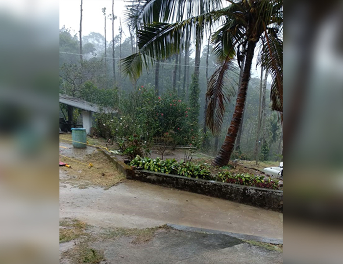 ಮಲೆನಾಡಿನ ವಿವಿಧೆಡೆ ದಿಢೀರ್ ಸುರಿದ ಮಳೆ: ರೈತರು, ಸಾರ್ವಜನಿಕರಲ್ಲಿ ಸಂತಸದ ಜೊತೆ ಆತಂಕ