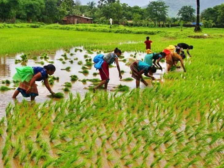 ಭದ್ರತೆಯಿಲ್ಲದ ಕೃಷಿ ಸಾಲದ ಮಿತಿ 1 ಲಕ್ಷದಿಂದ 1.6 ಲ.ರೂ.ಗೆ ಏರಿಕೆ