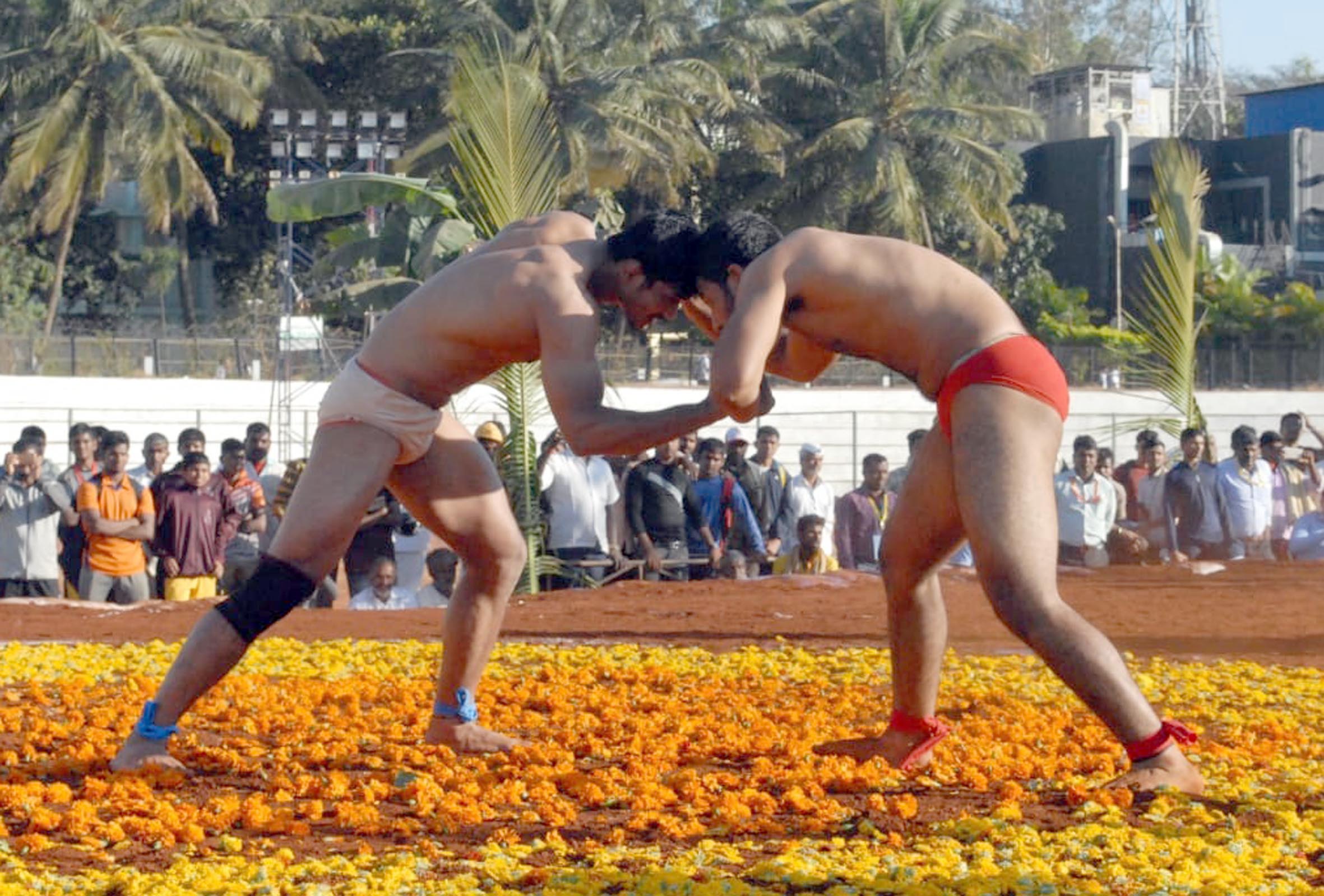 ಬೆಳಗಾವಿ: ಫೆ.10ಕ್ಕೆ ರಾಷ್ಟ್ರ, ಅಂತರ್‌ರಾಷ್ಟ್ರೀಯ ಕುಸ್ತಿ ಪಟುಗಳಿಂದ ಜಂಗಿ ಕುಸ್ತಿ ಪ್ರದರ್ಶನ