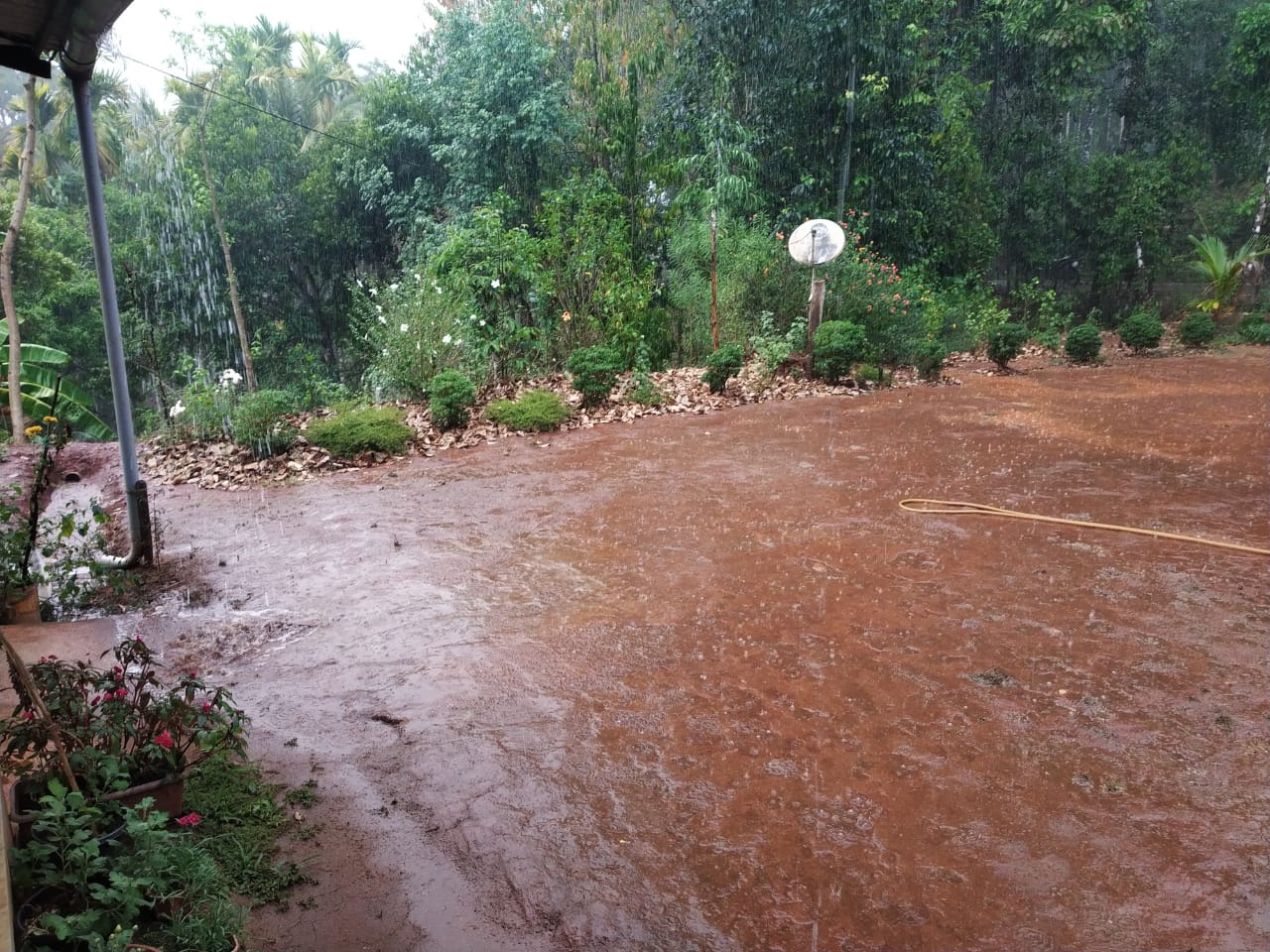 ಚಿಕ್ಕಮಗಳೂರು: ಬಿಸಿಲ ಧಗೆಗೆ ತಂಪೆರೆದ ಅಕಾಲಿಕ ಮಳೆ