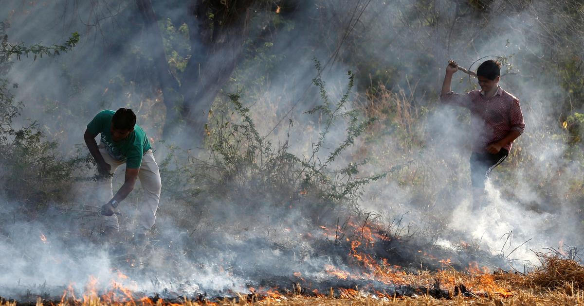 ಬೆಳೆ ತ್ಯಾಜ್ಯ ದಹನದಿಂದ ವಾಯು ಮಾಲಿನ್ಯ: ಉತ್ತರ ಭಾರತದಲ್ಲಿ ವಾರ್ಷಿಕ 2.12 ಲಕ್ಷ ಕೋ. ರೂ. ನಷ್ಟ
