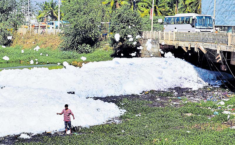 ವರ್ತೂರು ಕೆರೆಯಲ್ಲಿ ಮರುಕಳಿಸಿದ ನೊರೆ ಸಮಸ್ಯೆ: ಸಾರ್ವಜನಿಕರಿಗೆ ಕಿರಿಕಿರಿ
