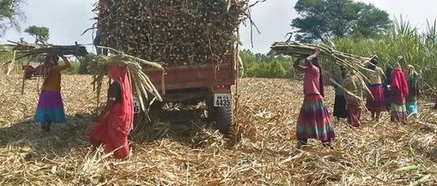 ಮಹಾರಾಷ್ಟ್ರದಲ್ಲಿ ದಂಡ ತಪ್ಪಿಸಿಕೊಳ್ಳಲು ಗರ್ಭಕೋಶ ತೆಗೆಸುತ್ತಿರುವ ಮಹಿಳೆಯರು