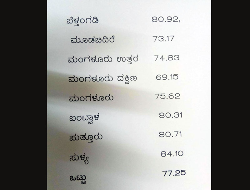 ಲೋಕಸಭಾ ಚುನಾವಣೆ: ದ.ಕ. ಜಿಲ್ಲೆಯಲ್ಲಿ ಶೇ. 77.25 ದಾಖಲೆ ಮತದಾನ