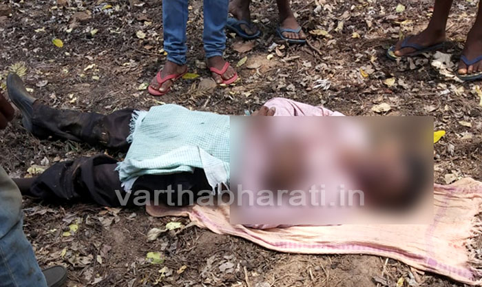 ಮಾದಾಪುರ: ಮರ ಬಿದ್ದು ಕಾರ್ಮಿಕ ಸಾವು