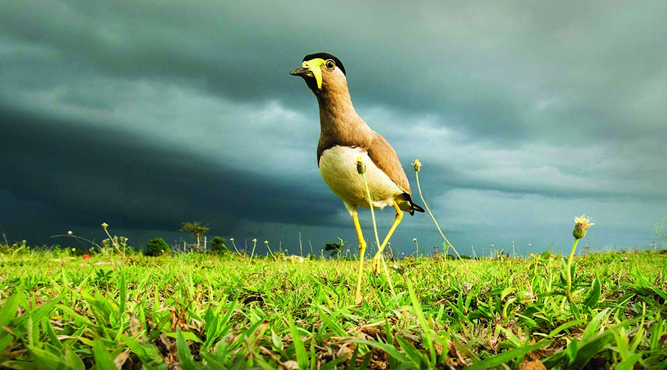 ಚಿತ್ರ ಹೃದಯದಲ್ಲಿ ಮಾಡುವುದಾದರೆ...!