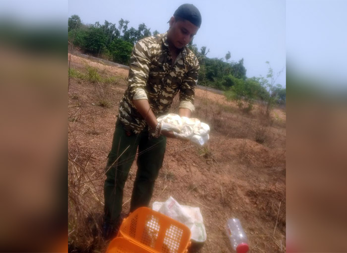 ಹೆಬ್ಬಾವಿನ 25 ಮೊಟ್ಟೆ ರಕ್ಷಿಸಿದ ಮಂಗಳೂರಿನ ತೌಸೀಫ್