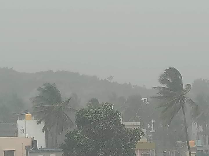 ಹನೂರು: ಭಾರೀ ಗಾಳಿ ಮಳೆಗೆ ಧರೆಗುರುಳಿದ ಮರಗಳು