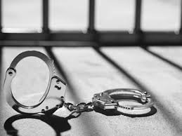 ಮನೆಮಂದಿಗೆ ಥಳಿಸಿದ ಬಿಜೆಪಿ ಸಂಸದನ ಪುತ್ರನ ಬಂಧನ