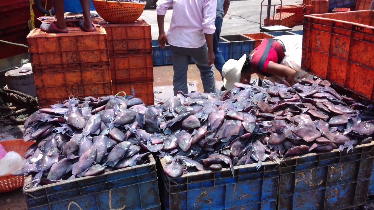 ಮಂಗಳೂರು: ಮೀನುಗಾರ ಮಹಿಳೆಯರ ಸಬಲೀಕರಣದ ತರಬೇತಿ ಕಾರ್ಯಕ್ರಮ