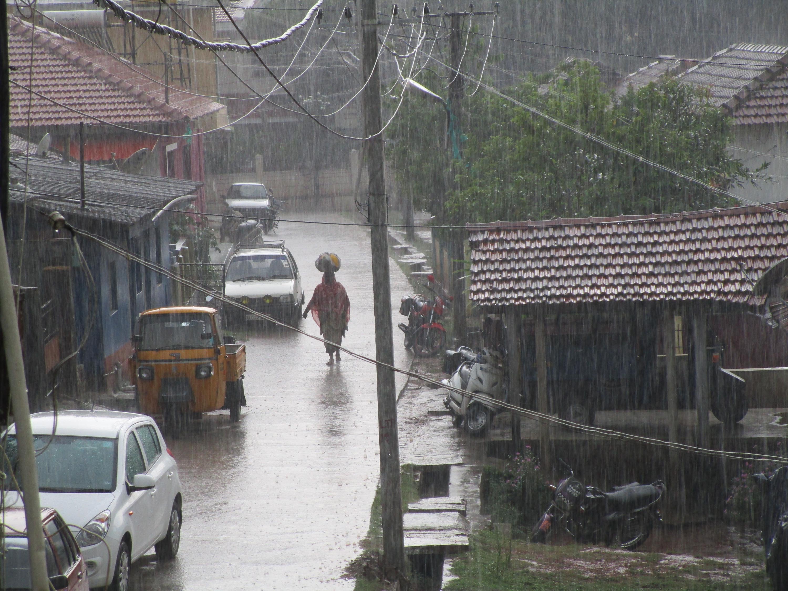 ಕಾಫಿನಾಡಿನಲ್ಲಿ ಮುಂದುವರೆದ ಮಳೆಯ ಸಿಂಚನ