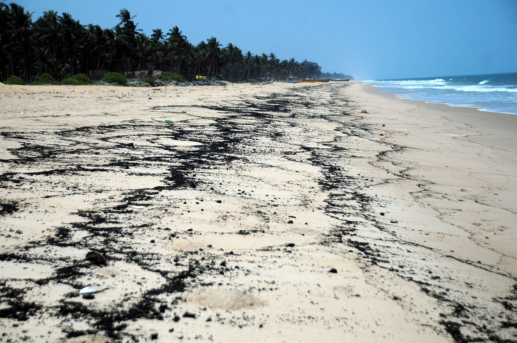 ಕಾಪು: ಸಮುದ್ರ ತೀರದಲ್ಲಿ ಕಪ್ಪು ಬಣ್ಣದ ಜಿಡ್ಡು