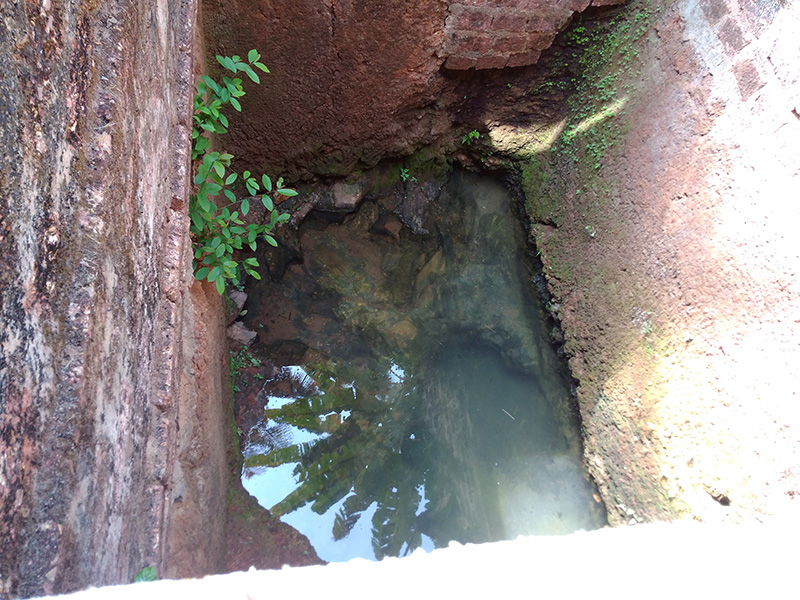 ಮಂಗಳೂರು ಕೆಪಿಟಿ ಪ್ರದೇಶದಲ್ಲಿ ನೀರಿನ ಸಮಸ್ಯೆ ಉಲ್ಬಣ: ಬಾವಿಗೆ ಒಸರುತ್ತಿರುವ ಒಳಚರಂಡಿ ತ್ಯಾಜ್ಯನೀರು!