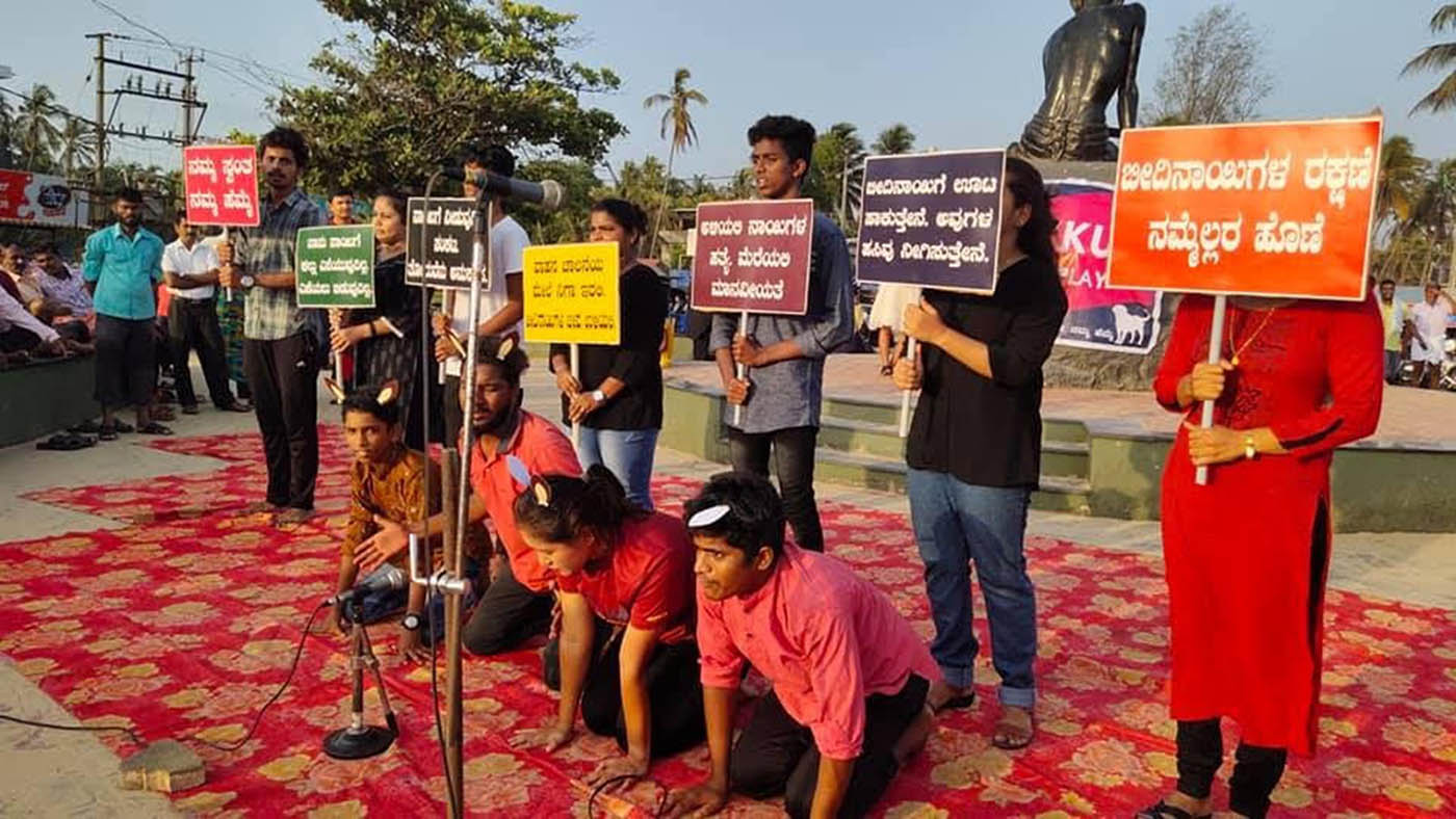 ಮ್ಯಾಕ್ಟ್‌ನಿಂದ 221 ಬೀದಿ ನಾಯಿಗಳ ದತ್ತು ನೀಡಿಕೆ