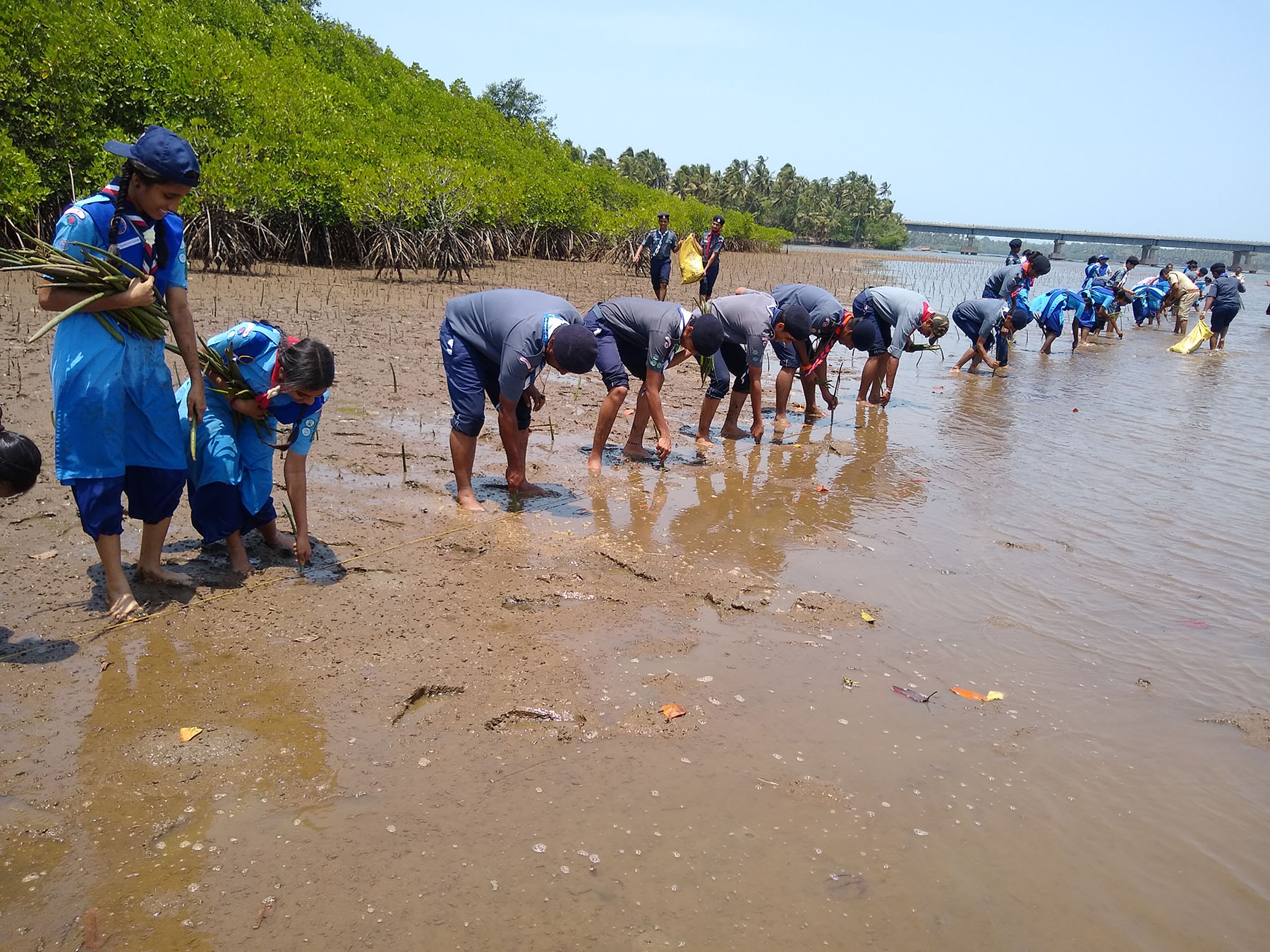 ಕುಂದಾಪುರ: ಮ್ಯಾಂಗ್ರೋವ್ ಗಿಡ ನೆಡುವ ಕಾರ್ಯಕ್ರಮ