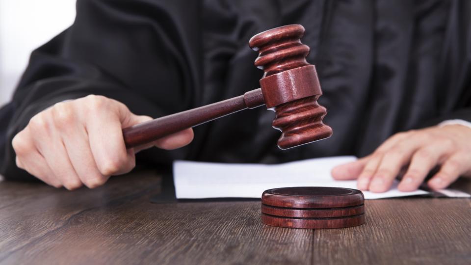 ಹೈಕೋರ್ಟ್ ಆದೇಶ: ಈ ರಾಜ್ಯದ ಎಲ್ಲ ಪ್ರಾಣಿಗಳಿಗೂ ಕಾನೂನುಬದ್ಧ ವ್ಯಕ್ತಿಯ ಸ್ಥಾನಮಾನ!