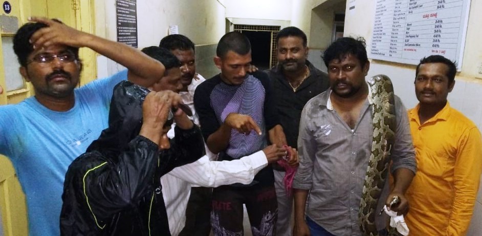 ಹೆಬ್ಬಾವಿನೊಂದಿಗೆ ಚಿಕಿತ್ಸೆಗಾಗಿ ಆಸ್ಪತ್ರೆಗೆ ದಾಖಲಾದ ವೆಂಕಟರಮಣ ನಾಯ್ಕ