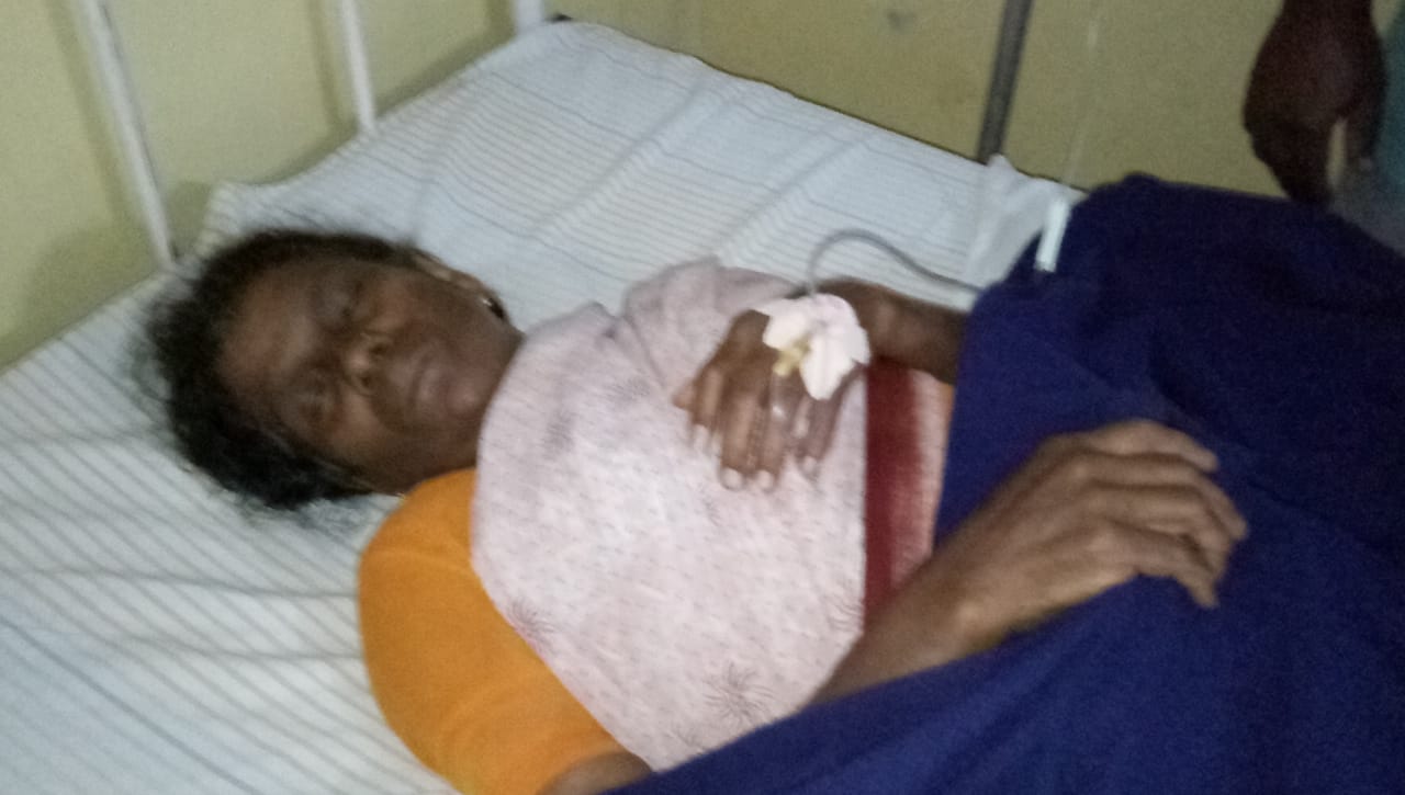 ಸಿದ್ದಾಪುರದಲ್ಲಿ ಮತ್ತೆ ಕಾಡಾನೆ  ದಾಳಿ: ಮಹಿಳೆಗೆ ಗಂಭೀರ ಗಾಯ