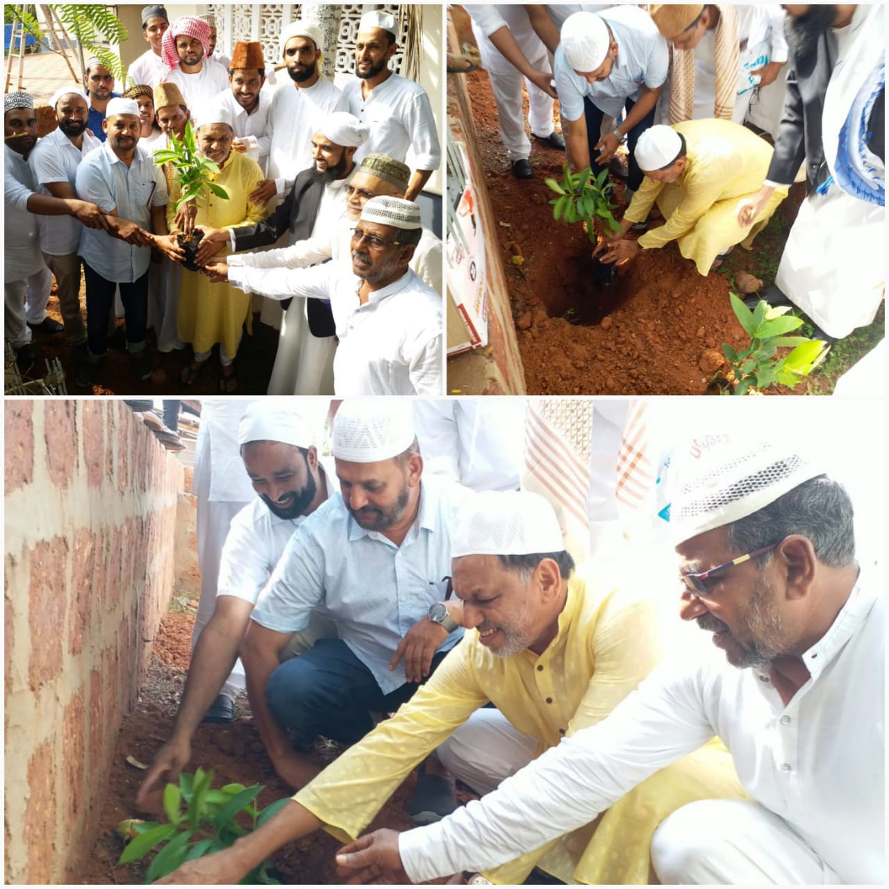 ಪರಿಸರ ದಿನದೊಂದಿಗೆ ಈದ್ ಸಂಭ್ರಮ