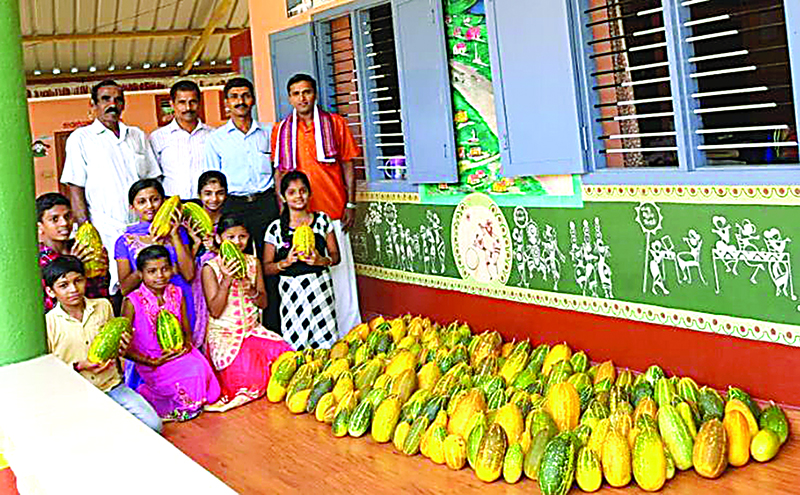 ಕೆದ್ದಳಿಕೆಯಲ್ಲಿ ಹೀಗೊಂದು ಮಾದರಿ ಶಾಲಾ ಕೈ ತೋಟ! ಕೆದ್ದಳಿಕೆಯಲ್ಲಿ ಹೀಗೊಂದು ಮಾದರಿ ಶಾಲಾ ಕೈ ತೋಟ!