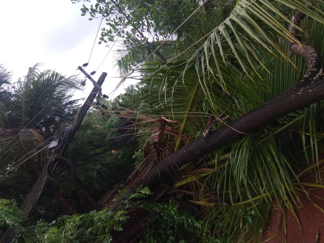 ಭಟ್ಕಳ: ಗಾಳಿ ಮಳೆಗೆ 8 ವಿದ್ಯುತ್ ಕಂಬಗಳು ಧರೆಗೆ; 64 ಸಾವಿರ ರೂ. ನಷ್ಟ