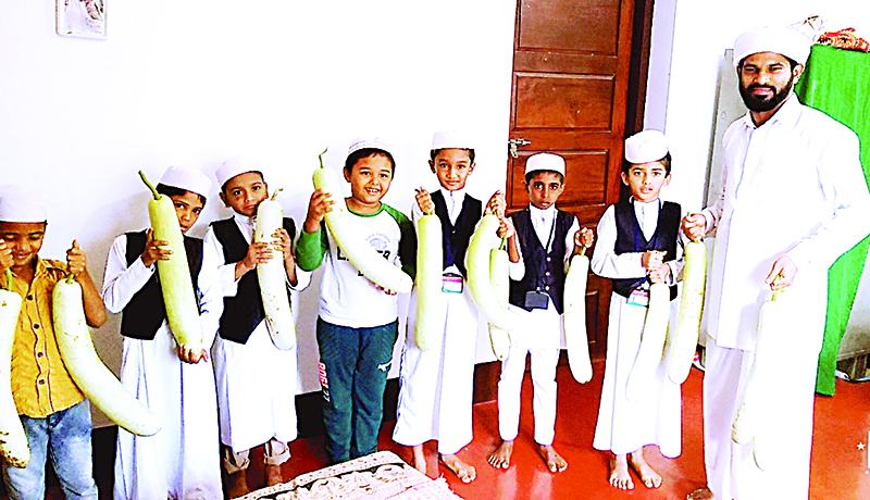 ಮಂಜಲ್‌ಪಲ್ಕೆ: ಮದ್ರಸಾ ಉಸ್ತಾದರ ಕೃಷಿಕ್ರಾಂತಿ