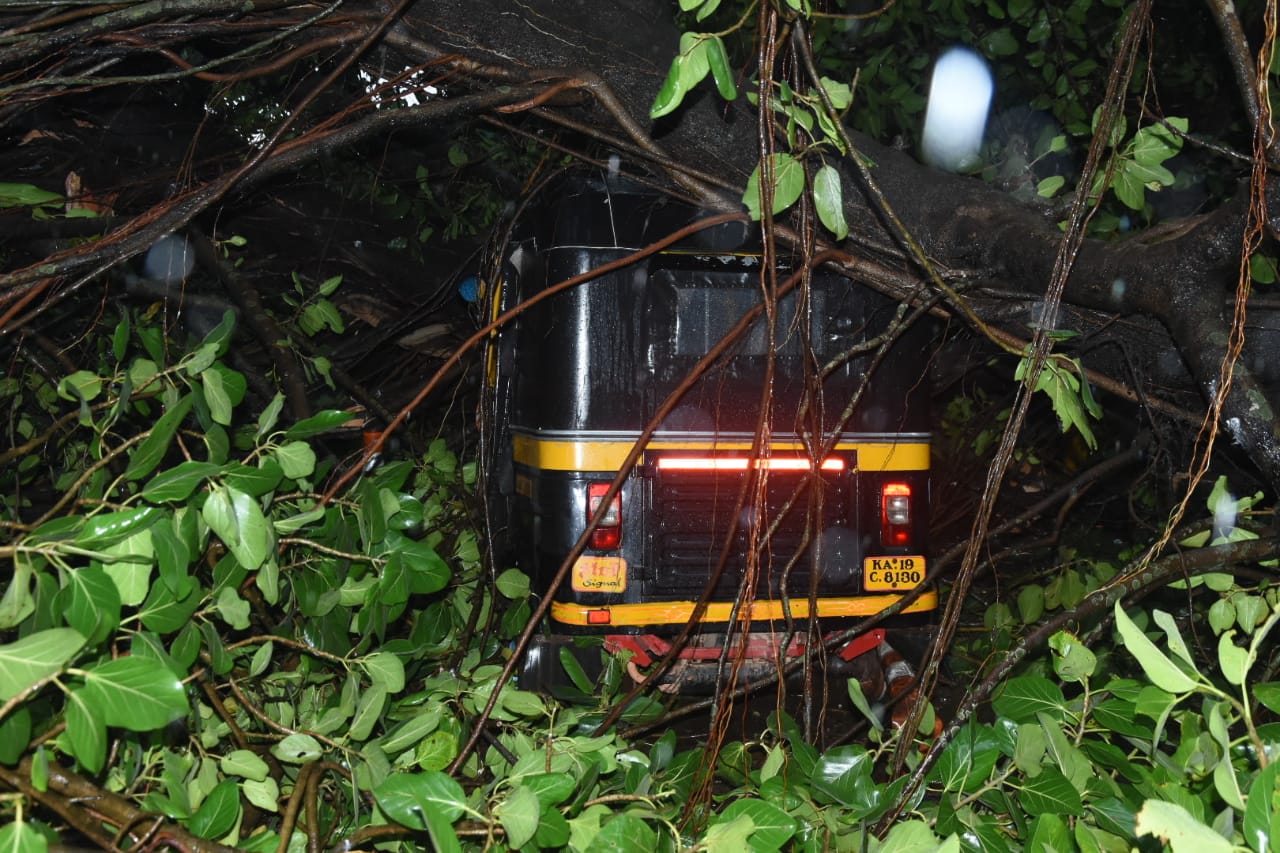 ಕಂಕನಾಡಿ: ಬೃಹತ್ ಮರ ಬಿದ್ದು ವಾಹನ ಸಂಚಾರ ಅಸ್ತವ್ಯಸ್ತ; ಇಬ್ಬರಿಗೆ ಗಾಯ