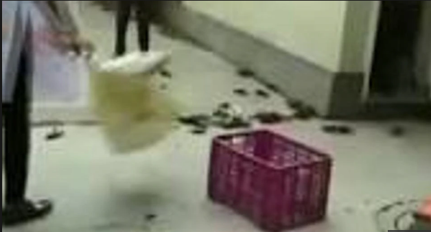 ಅಣೆಕಟ್ಟು ದುರಂತ ಪ್ರಕರಣ: ಸಚಿವರ ಮನೆಗೆ ಏಡಿಗಳನ್ನು ಸುರಿದ ಪ್ರತಿಭಟನಕಾರರು