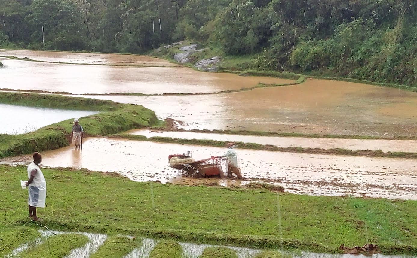 ಕೊಡಗಿನಲ್ಲಿ ಮಳೆ ಕೊರತೆ: ಕೃಷಿ ಕಾರ್ಯಕ್ಕೆ ಭಾರೀ ಹಿನ್ನಡೆ