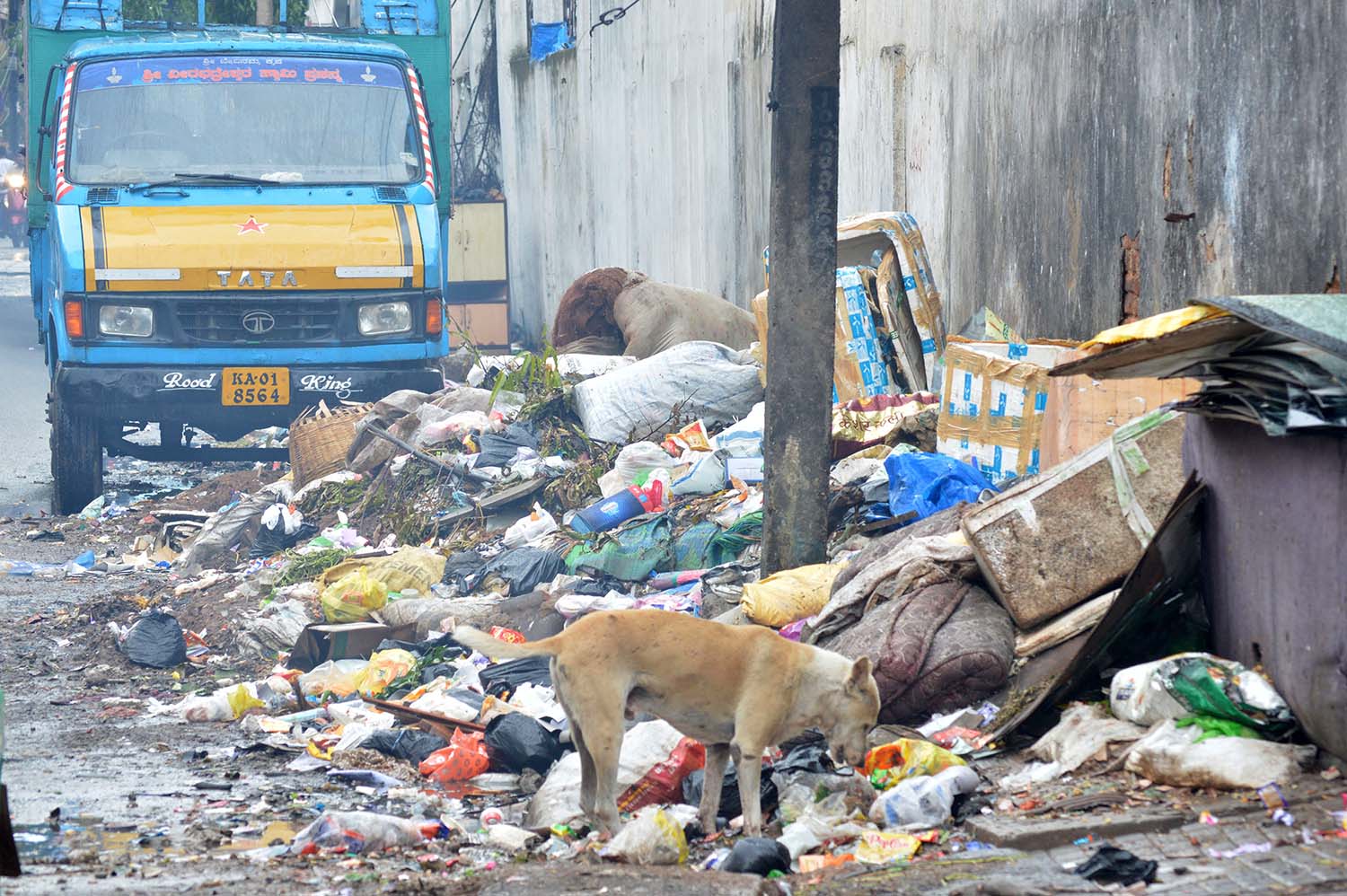 ರಾಜಧಾನಿಯಲ್ಲಿ ಮತ್ತೊಮ್ಮೆ ಎದುರಾಗಲಿದೆ ಕಸದ ಸಮಸ್ಯೆ !