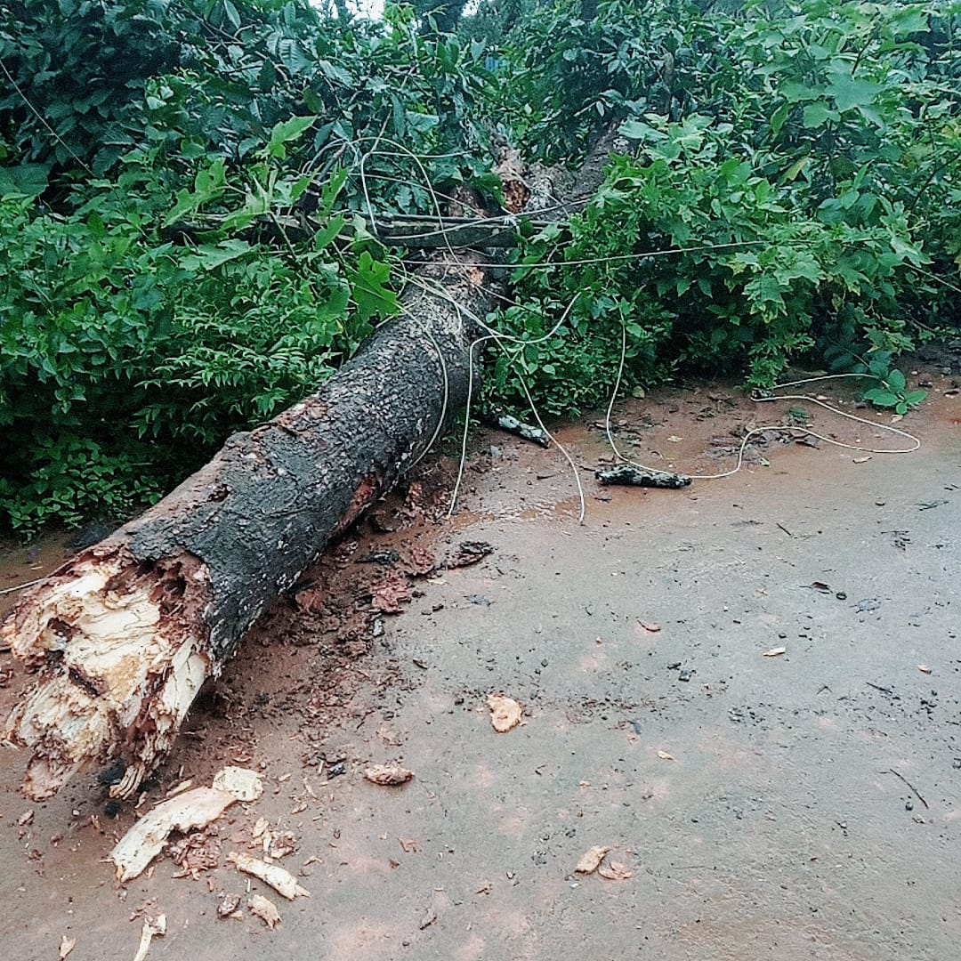 ಮಲೆನಾಡಿನಲ್ಲಿ ಮುಂದುವರೆದ ಮಳೆ: ಬಯಲು ಪ್ರದೇಶದಲ್ಲಿ ಮೋಡ ಕವಿದ ವಾತಾವರಣ