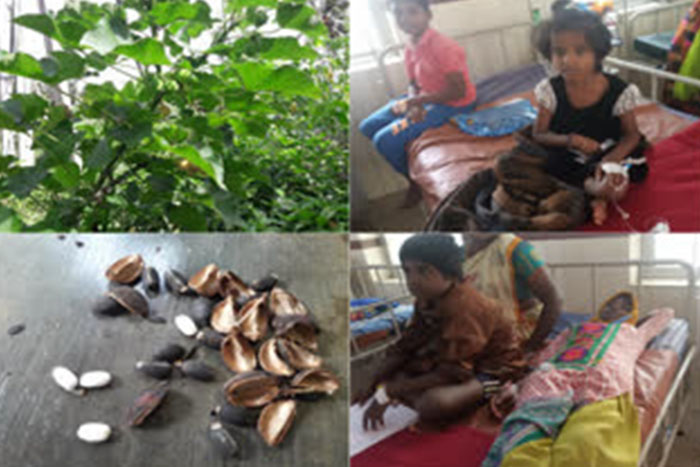 ವಿಷಪೂರಿತ ಬೇಲಿ ಕಾಯಿ ತಿಂದು ಹದಿನಾಲ್ಕು ಮಕ್ಕಳು ಸೇರಿ 18 ಮಂದಿ ಅಸ್ವಸ್ಥ