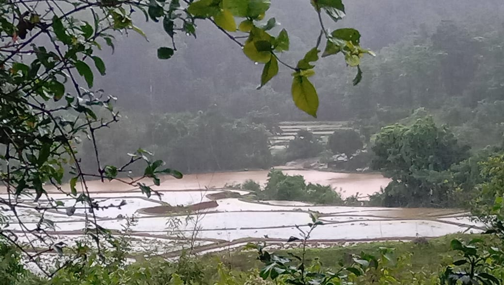 ಮಲೆನಾಡಿನಲ್ಲಿ ಮುಂದುವರೆದ ಮಳೆ ಆರ್ಭಟ: ಅಲ್ಲಲ್ಲಿ ಗೋಡೆ, ಧರೆ ಕುಸಿತ- ನೆಲಕ್ಕುರುಳಿದ ವಿದ್ಯುತ್ ಕಂಬಗಳು