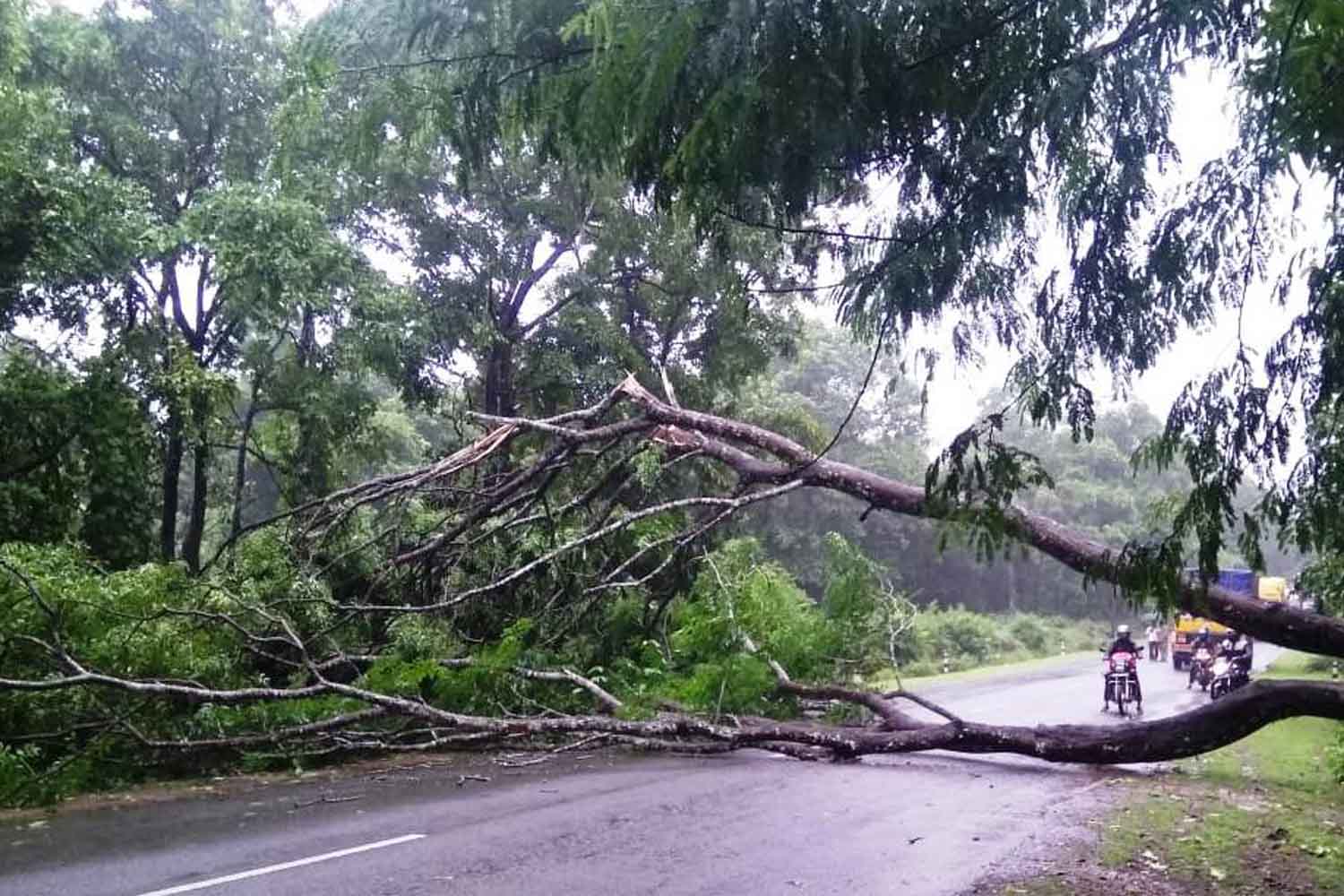 ಶಿವಮೊಗ್ಗ: ವಿದ್ಯುತ್ ಅಘಾತಕ್ಕೆ ರೈತ ಬಲಿ, ಮರದ ಕೊಂಬೆ ಬಿದ್ದು ಬೈಕ್ ಚಾಲಕನಿಗೆ ಗಾಯ