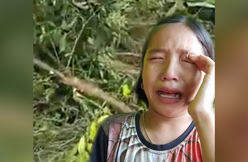 ಮರಗಳನ್ನು ಕಡಿದದ್ದಕ್ಕೆ ಗಳಗಳನೆ ಅತ್ತ ಬಾಲಕಿ ಈಗ ರಾಜ್ಯದ ಹಸಿರು ರಾಯಭಾರಿ!