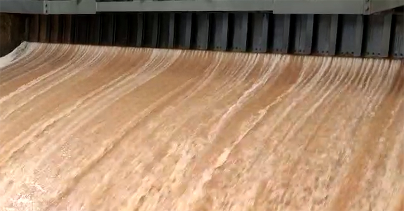 ಅಪಾಯ ಮಟ್ಟದಲ್ಲಿ ಹರಿಯುತ್ತಿರುವ ನೇತ್ರಾವತಿ: ನದಿ ತೀರದ ನಿವಾಸಿಗಳು ಸುರಕ್ಷಿತ ಸ್ಥಳಕ್ಕೆ ತೆರಳಲು ಡಿಸಿ ಸೂಚನೆ