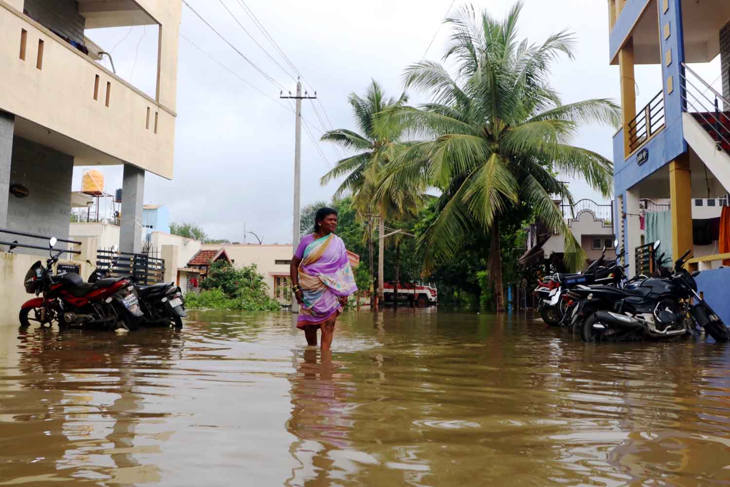 ಶಿವಮೊಗ್ಗ ಜಿಲ್ಲೆಯ ಶಾಲೆ-ಕಾಲೇಜುಗಳಿಗೆ ಶನಿವಾರ ರಜೆ ಘೋಷಣೆ