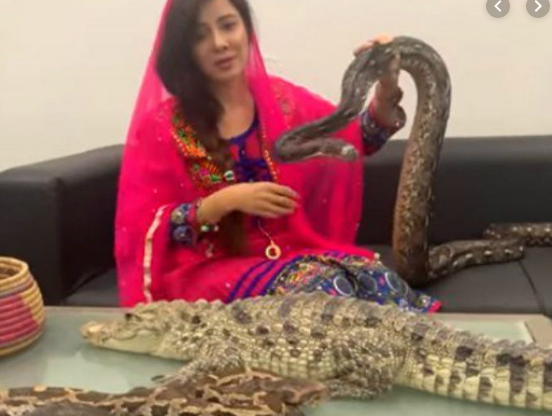 ಹಾವುಗಳನ್ನು ಹಿಡಿದು ಪ್ರಧಾನಿ ಮೋದಿಗೆ ಬೆದರಿಕೆ ಹಾಕಿದ್ದ ಪಾಕ್ ಗಾಯಕಿಗೆ 2 ವರ್ಷ ಜೈಲು